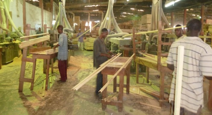 Wydział strugarek profilowych w zakładzie Fabi Timbers (fot. Zbigniew Michno) Wydział strugarek profilowych w zakładzie Fabi Timbers