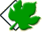 Gazeta Wyborcza 