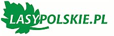 Lasy Polskie