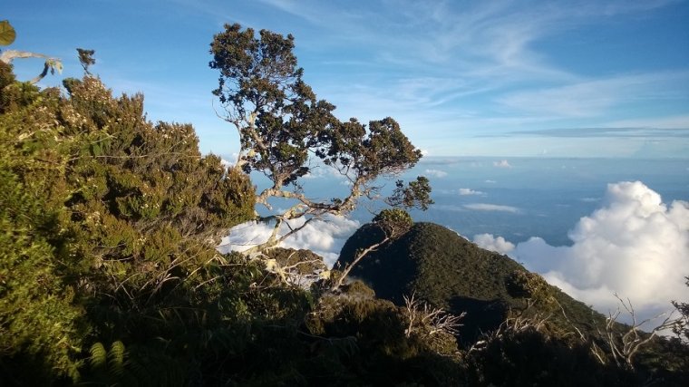 Park Narodowy Kinabalu
