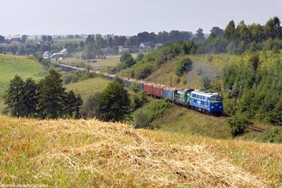 PKP CARGO partnerem trzech dużych graczy przemysłu drzewnego