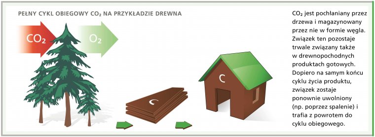 STEICO LVL w trosce o naturę  - bilans ekologiczny