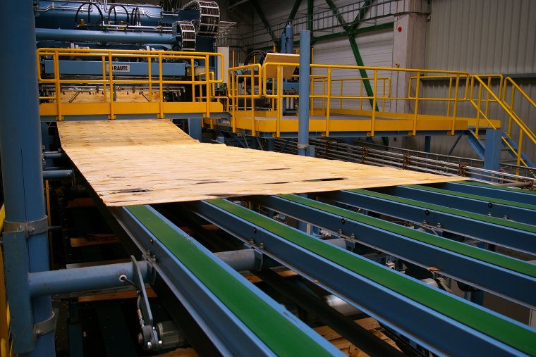 Linia produkcji forniru w Czarnej Wodzie
