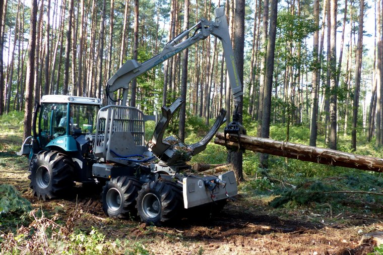 Pomimo postępującej mechanizacji prac leśnych ilość wypadków utrzymuje się na wysokim poziomie