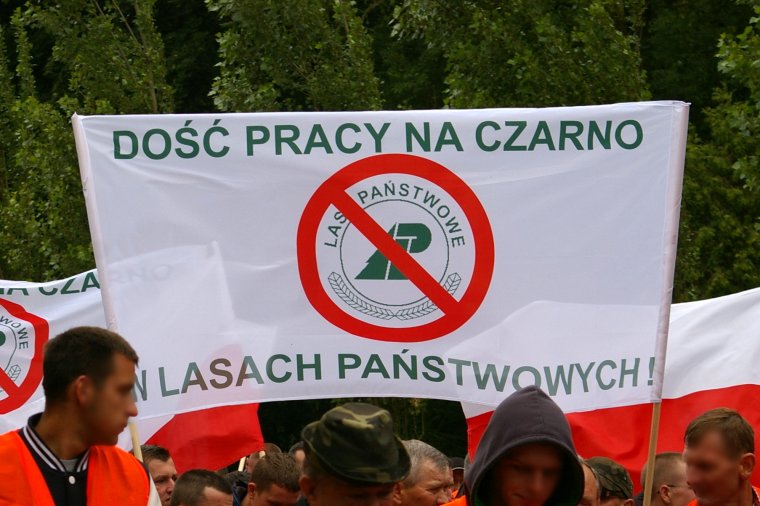 Kolejny protest firm leśnych przeciw polityce Lasów Państwowych odbędzie się 2. września w Szczecinie