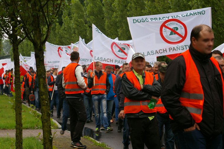 Przedsiębiorcy leśni chcą zamiany polityki Lasów Państwowych w zakresie kształtowania rynku usług leśnych