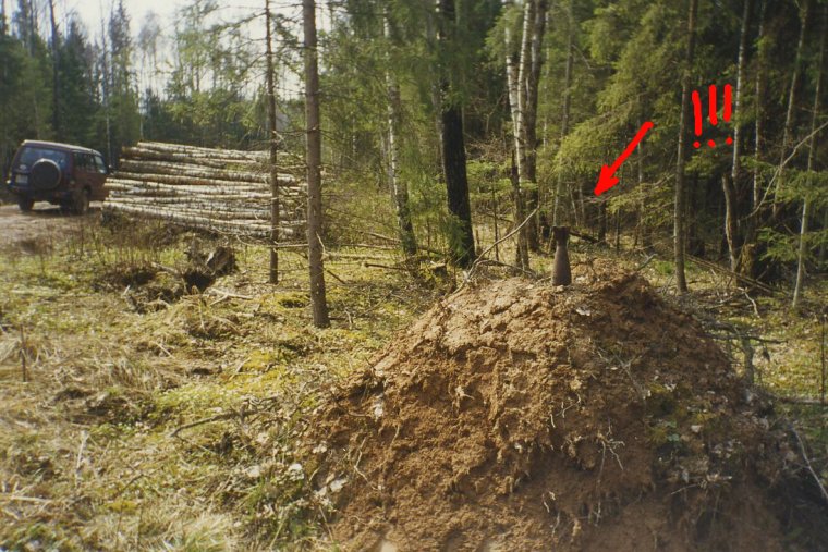 Praca przy pozyskaniu drewna na terenach dawnych poligonów generuje dodatkowe niebezpieczeństwo