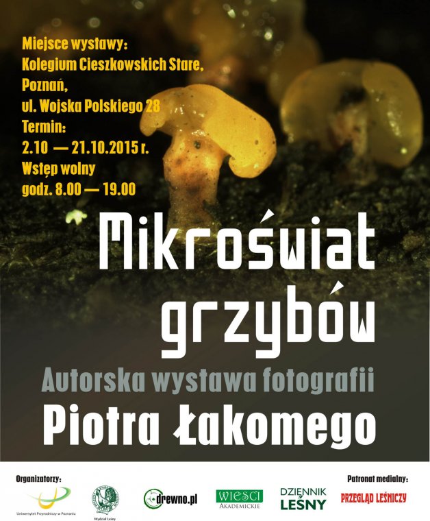 Mikroświat grzybów - wystawa fotografii Piotra Łakomego