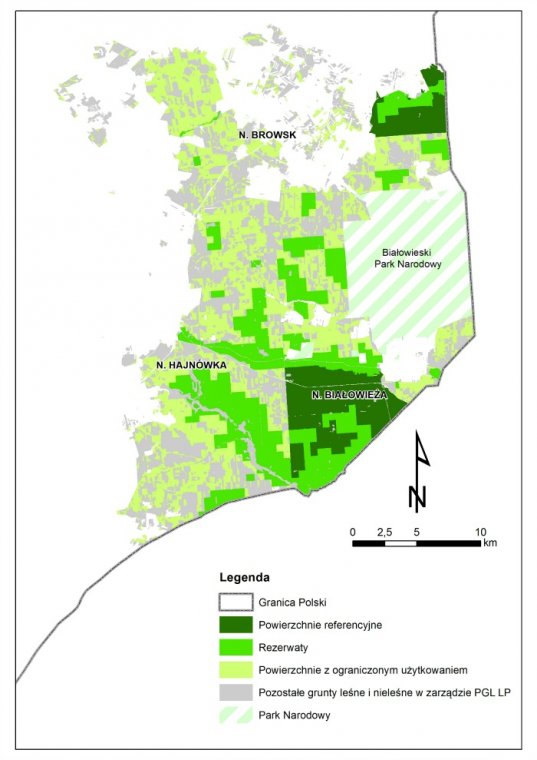 Mapa Puszczy Białowieskiej