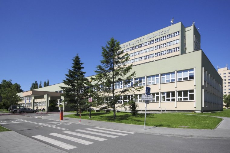 Przetwórstwo Drewna - nowy kierunek studiów na krakowskim Wydziale Leśnym 