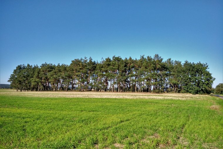 Konferencja: Wycena nieruchomości leśnych i ich funkcjonalnych części