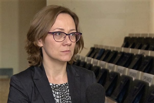 Agnieszka Kowalcze, dyrektor Skandynawsko-Polskiej Izby Gospodarczej