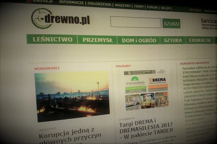 TOP 10 artykułów portalu Drewno.pl w 2016 roku