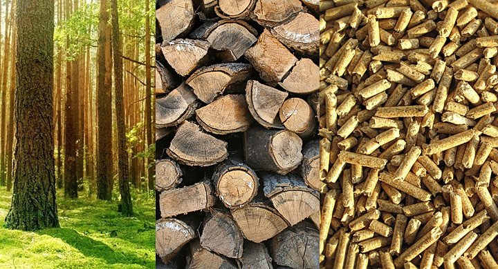 Energia z Drewna – dwudniowa konferencja na targach DREMASILESIA 2017