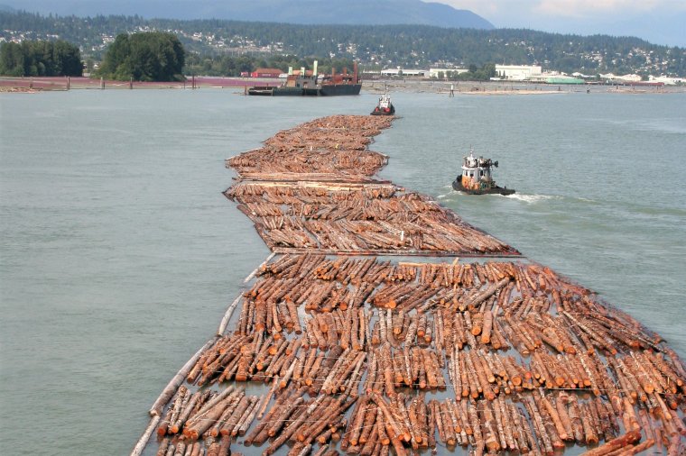 Transport surowca drzewnego w Vancouver