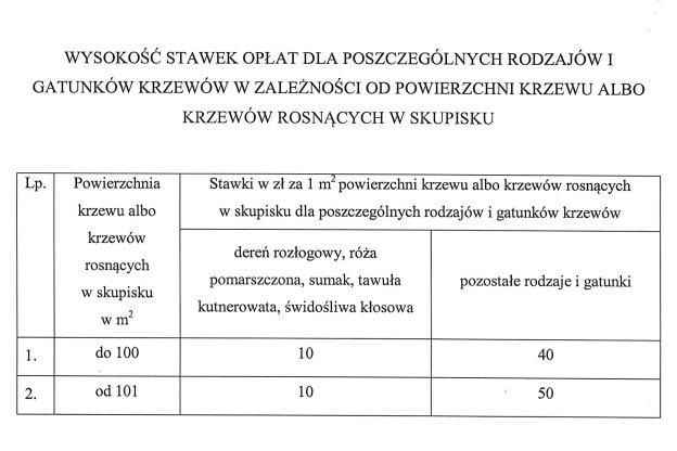 Wysokość stawek opłat dla poszczególnych rodzajów i gatunków krzewów w zależności od powierzchni krzewu albo krzewów rosnących w skupisku - projekt rozporządzenia