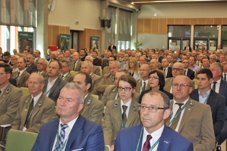 Leśny Kongres Drogowy