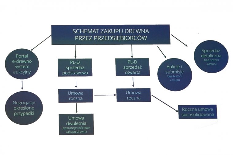 Schemat sprzedaży surowca drzewnego z Lasów Państwowych na rok 2019