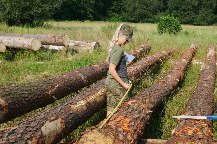 Kurs brakarzy drewna okrągłego - MARZEC 2020