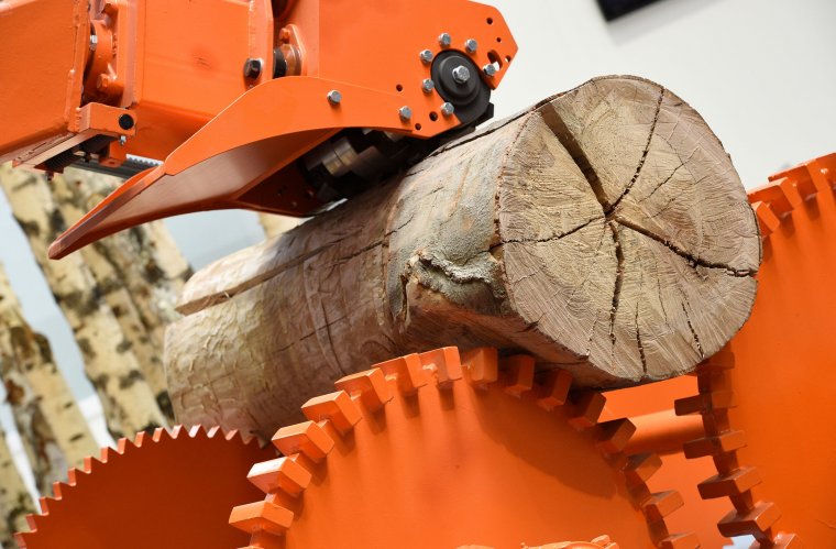 Sawmill Technology: Second major display category within the primary timber processing sector. (Primultini SRL, Halle 25/K26)
