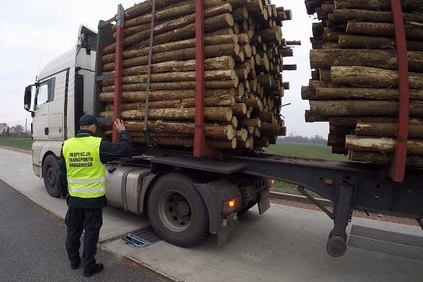Transport drewna na celowniku ITD