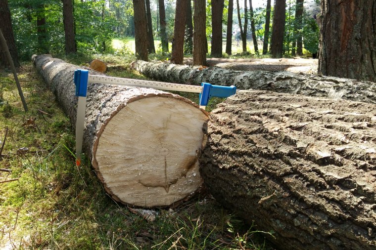 Szkolenie: 