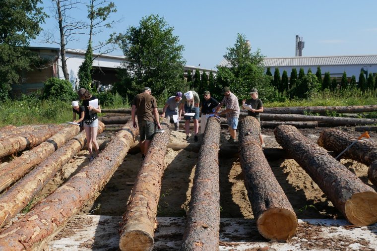 Kurs brakarzy drewna okrągłego - WRZESIEŃ 2020