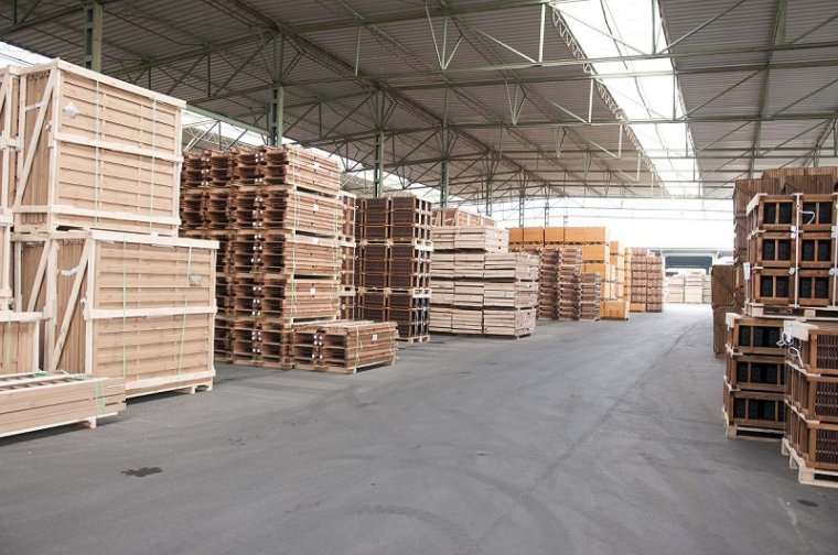 Werth-Holz inwestuje w rozwój mocy produkcyjnych
