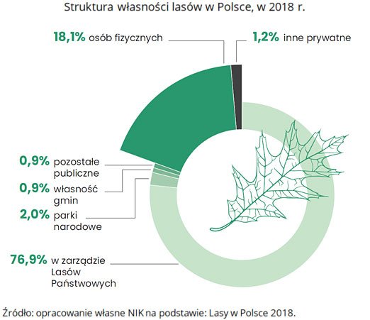 Struktura własności lasów w Polsce, w 2018r.