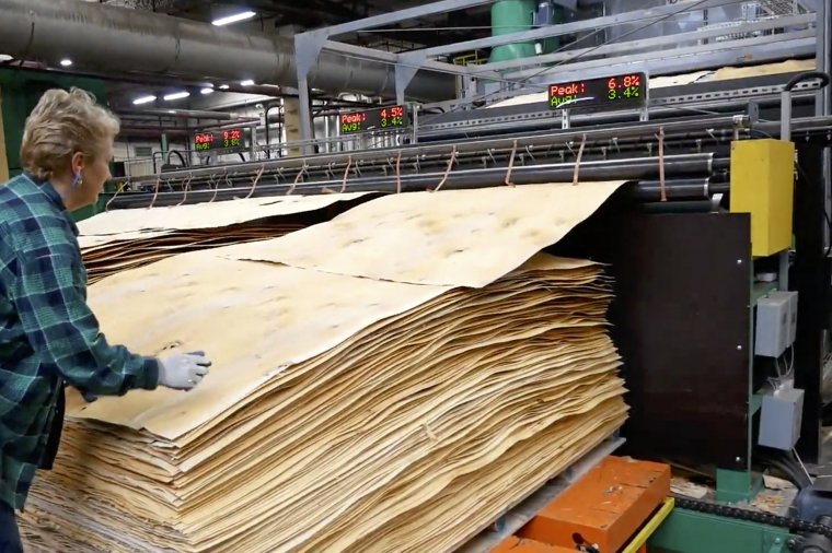 Rosyjska sklejka brzozowa importowana na teren Unii Europejskiej objęta stałymi cłami antydumpingowymi