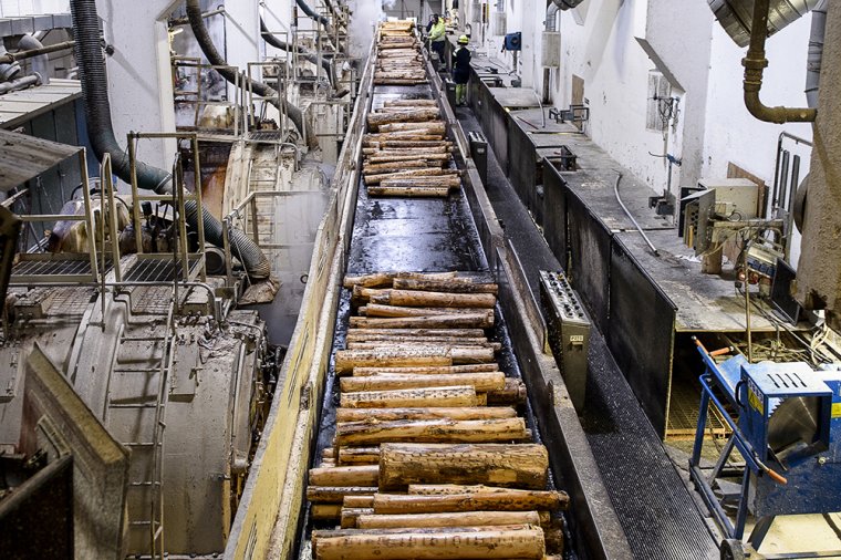 Rottneros rezygnuje z produkcji celulozy metodą mechaniczną