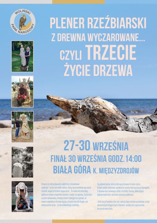 Plener Rzeźbiarski - Z drewna wyczarowane, czyli trzecie życie drzewa