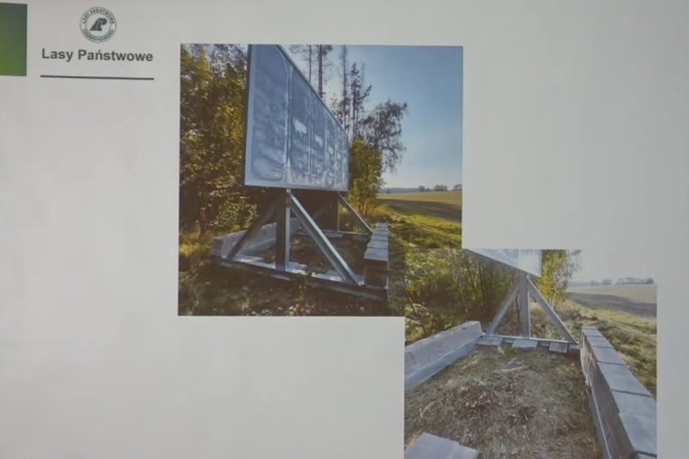 Lasy Państwowe: Pierwsze wyniki audytu w sprawie "afery billboardowej"
