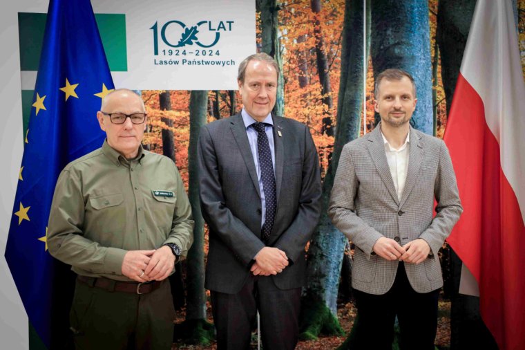 Lasy Państwowe wracają do certyfikacji FSC, na 