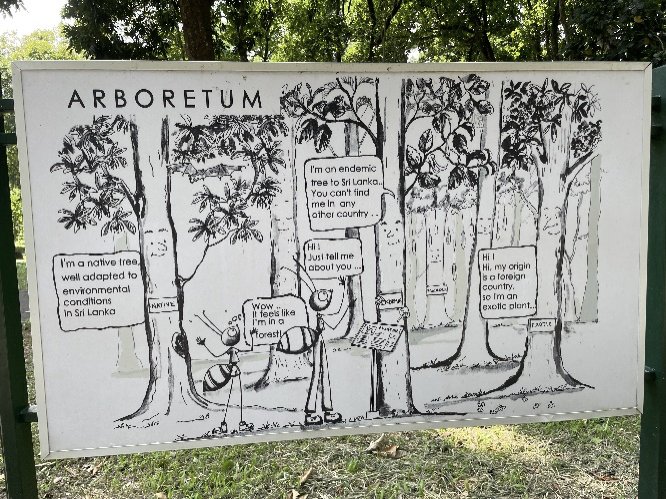 Royal Botanic Garden w Paradeniya