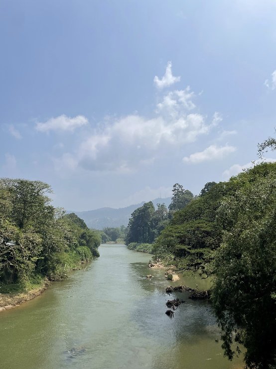 Widok z kładki na rzekę Mahaweli Ganga