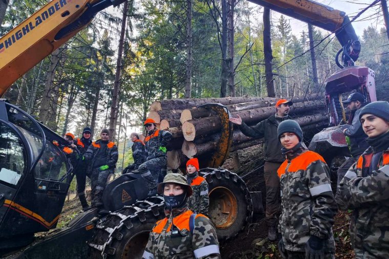 Las, leśnictwo bez granic