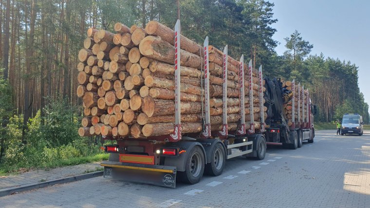Transport drewna - zbyt duże ładunki to codzienność