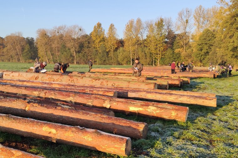 Kurs brakarzy drewna okrągłego