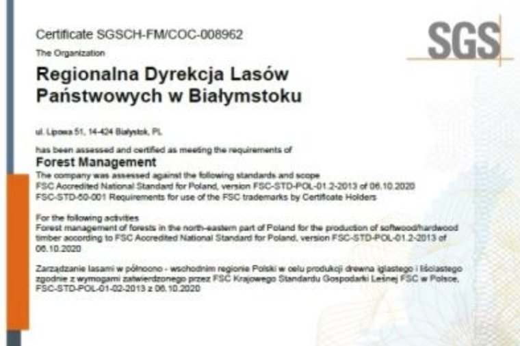 RDLP w Białymstoku odzyskała certyfikat FSC