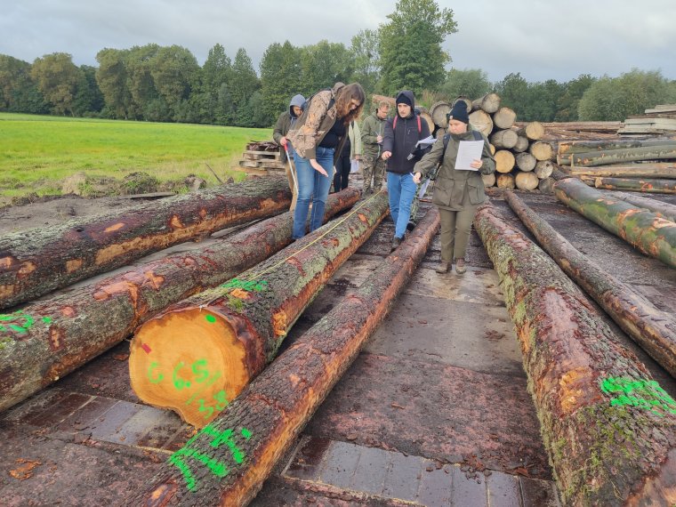 Kurs brakarzy drewna okrągłego