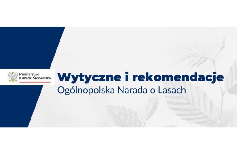 PIGPD: Zmiany zaproponowane w projekcie wytycznych ONoL będą szkodliwe dla przemysłu i lasów. 