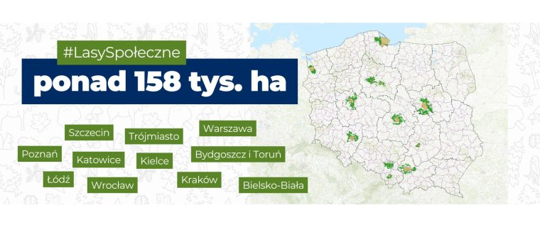 Lasy społeczne - Pilotażowy projekt objął 158 tys. ha lasów