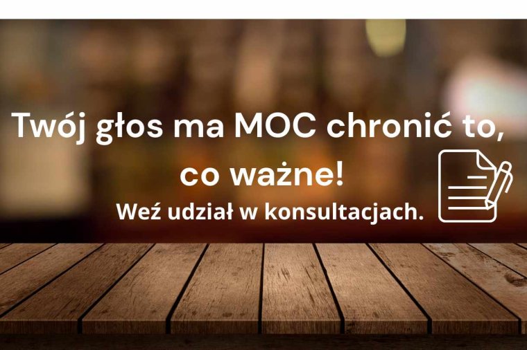 Branża drzewna apeluje o podpisy pod petycją ws. unijnych regulacji – drewno to surowiec przyszłości
