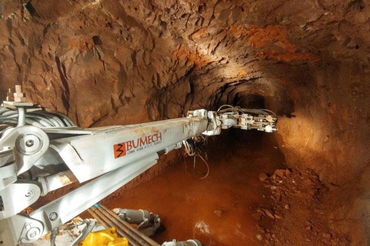 Bumech planuje inwestycję w branżę drzewną