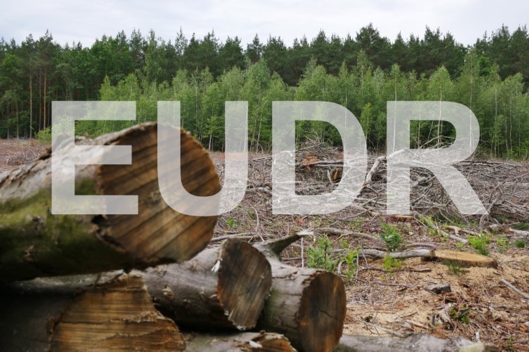 Branża leśno-drzewna protestuje w sprawie EUDR