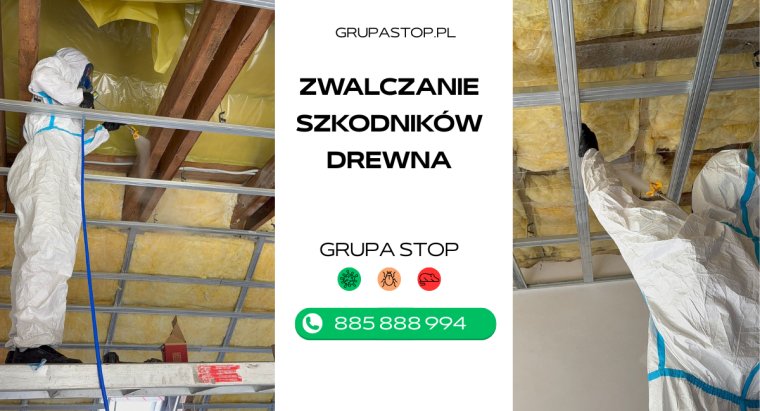 Zwalczanie szkodników drewna - grupastop