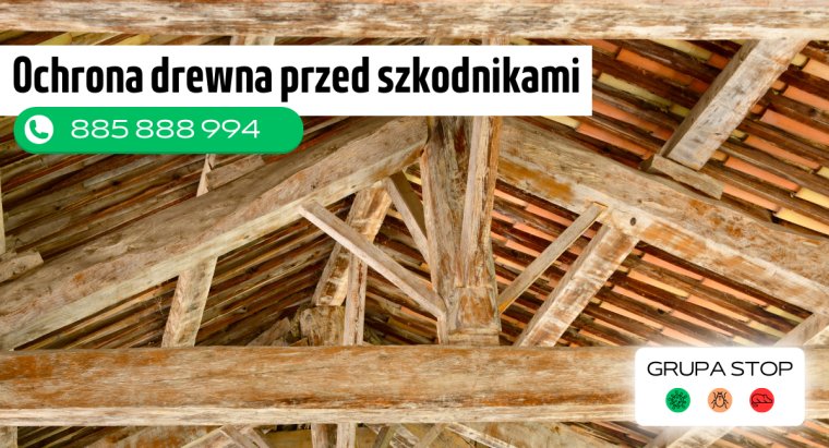 Zwalczanie szkodników drewna - grupastop