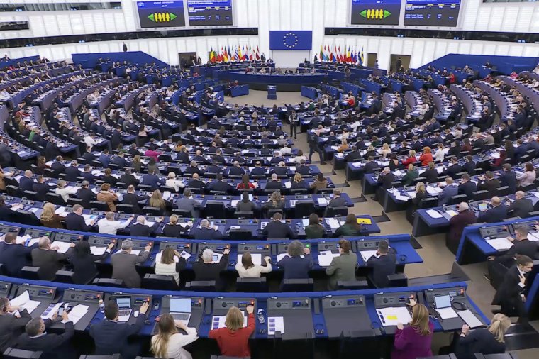 EUDR: Parlament Europejski poparł opóźnienie i uproszczenie przepisów