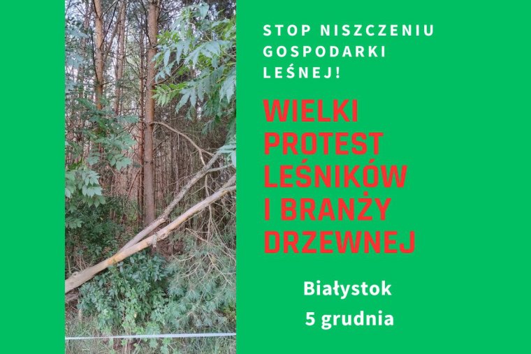 Ogólnopolski protest branży leśnej i drzewnej w Białymstoku - Bronimy pracy, gospodarki i ...